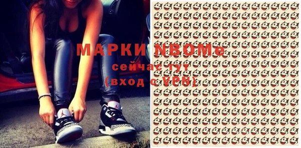 сатива Баксан