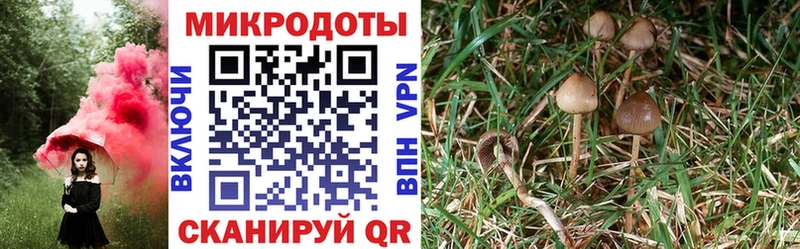 Псилоцибиновые грибы мицелий  Мариинск 